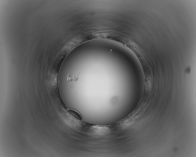 X0000097000477200802151418