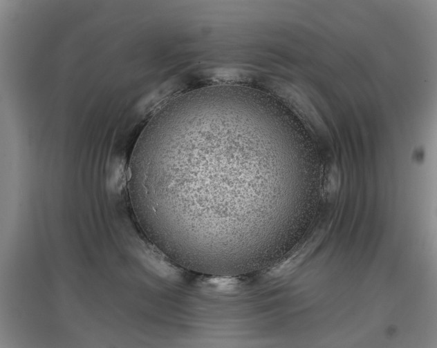 X0000097000478200802151418