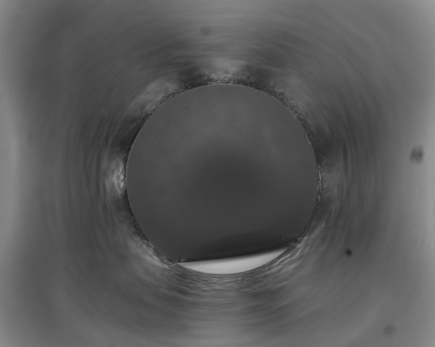 X0000097000479200802151418