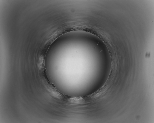 X0000097000480200802151418