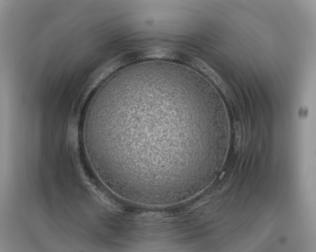 X0000097000482200802151417