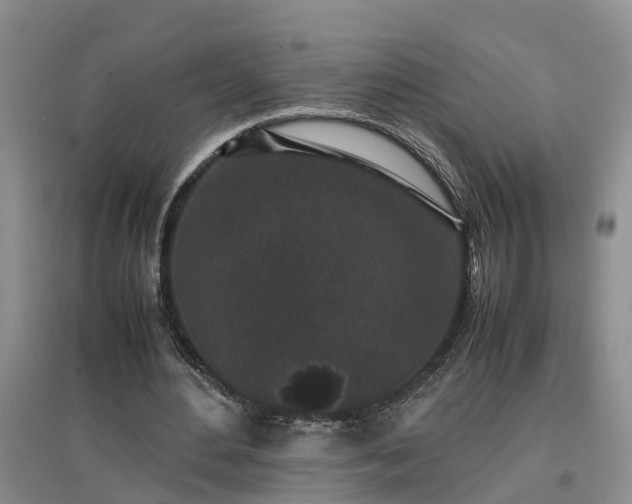 X0000097000484200802151417