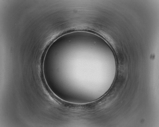 X0000097000485200802151417