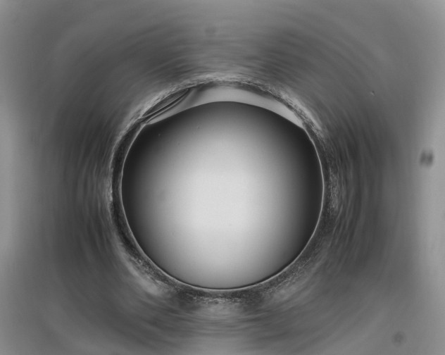X0000097000486200802151417