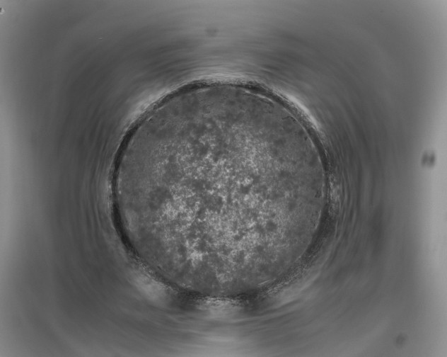 X0000097000487200802151417