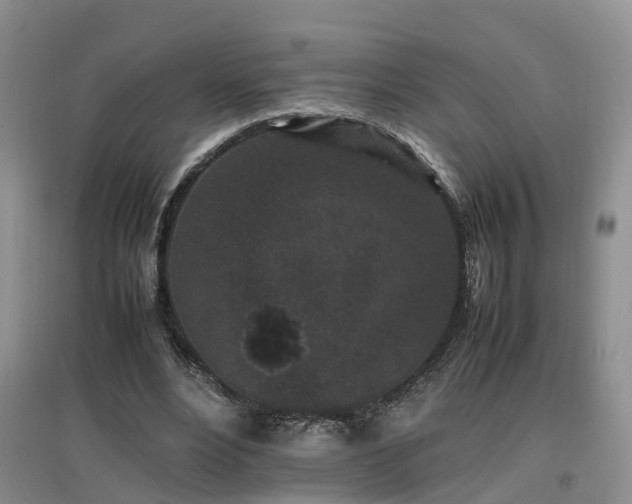 X0000097000488200802151417