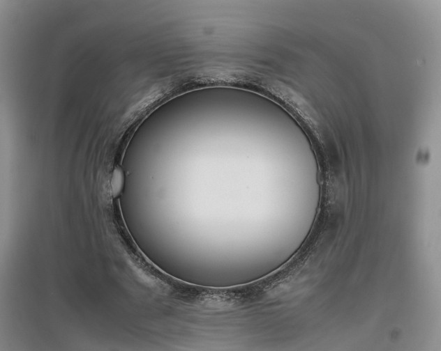 X0000097000489200802151417