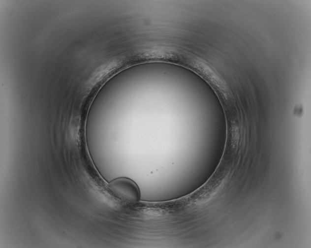 X0000097000490200802151417
