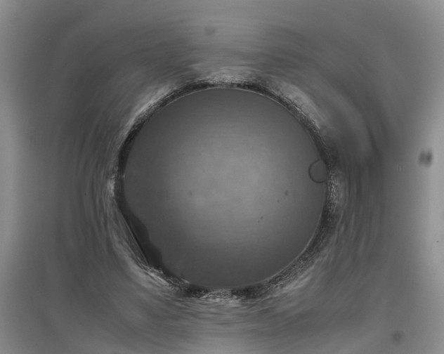X0000097000491200802151417