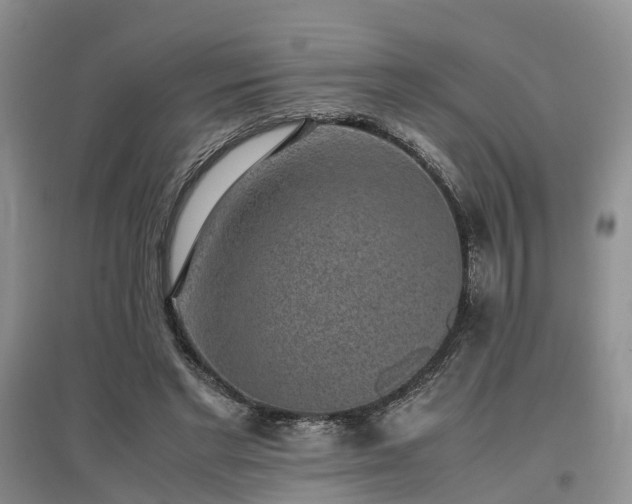 X0000097000493200802151417