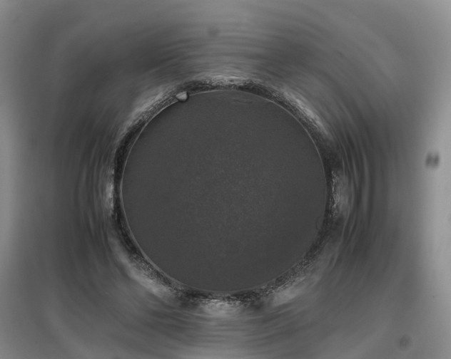 X0000097000494200802151417