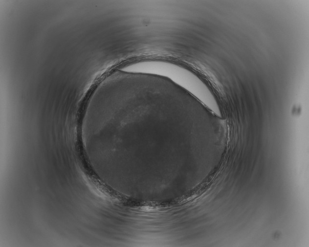 X0000097000496200802151417
