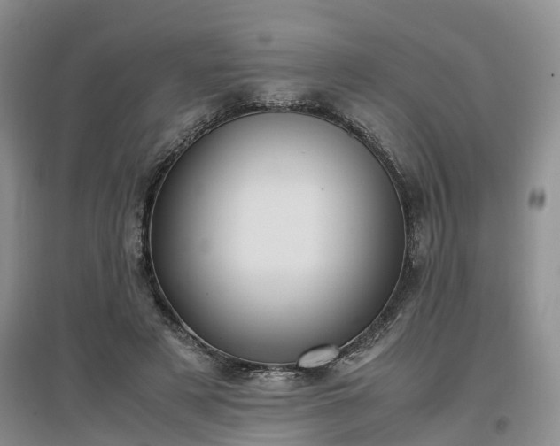 X0000097000497200802151417