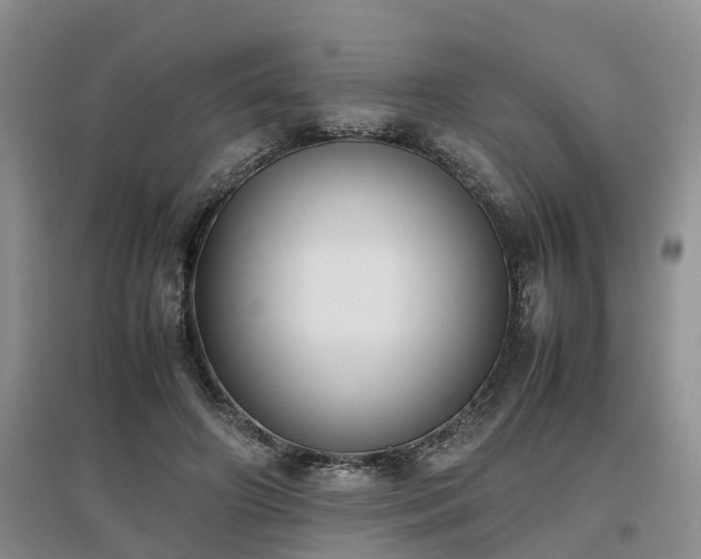 X0000097000498200802151417