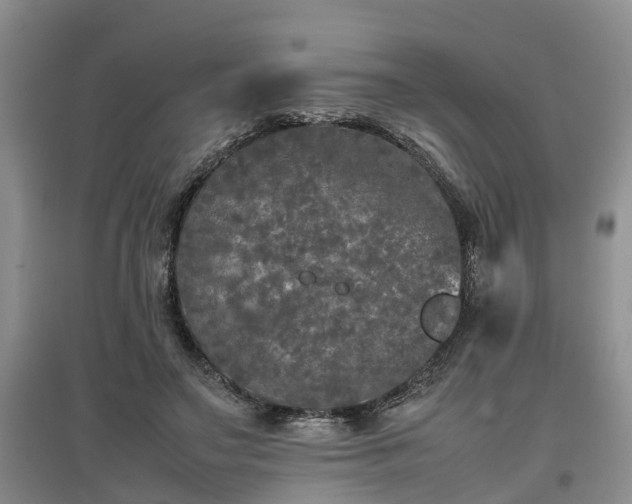 X0000097000499200802151417