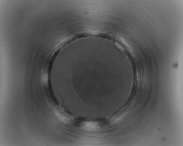 X0000097000500200802151417