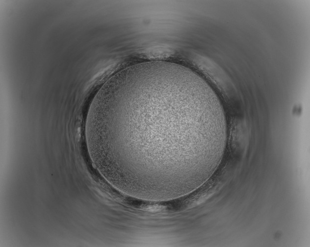 X0000097000501200802151417