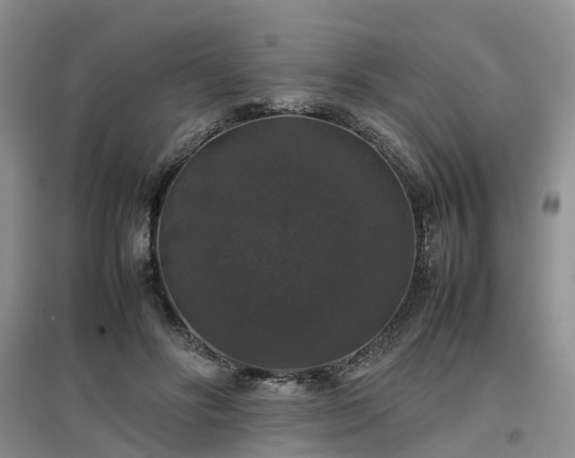 X0000097000502200802151417