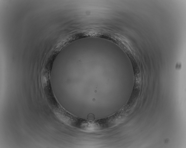 X0000097000503200802151417