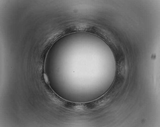 X0000097000505200802151417