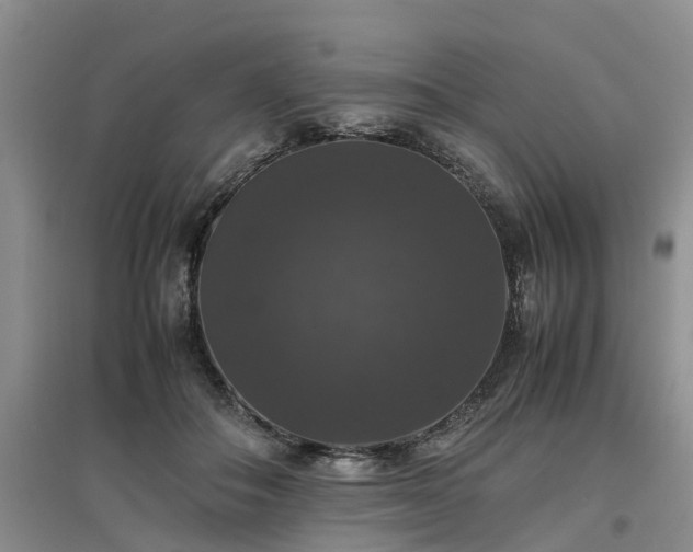 X0000097000506200802151417
