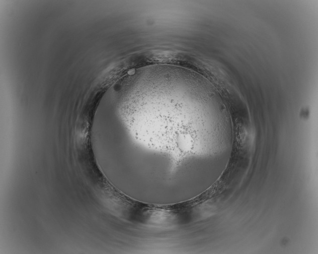 X0000097000507200802151417