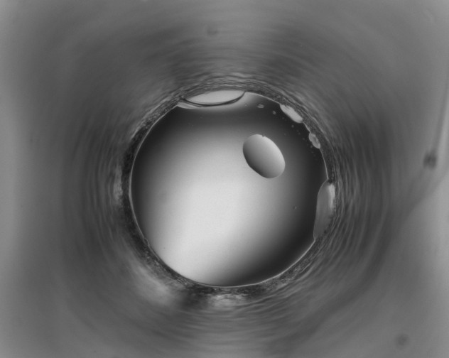 X0000097000508200802151417