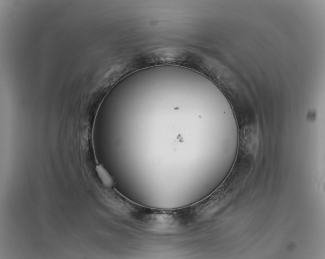 X0000097000509200802151417