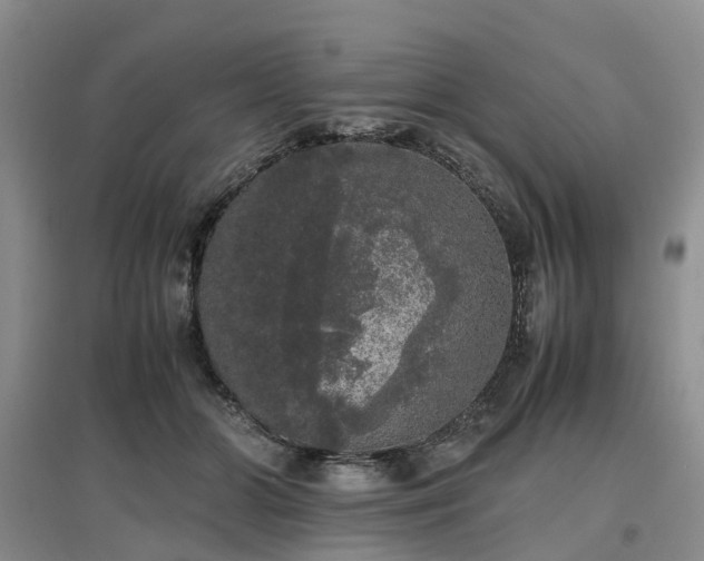 X0000097000510200802151417