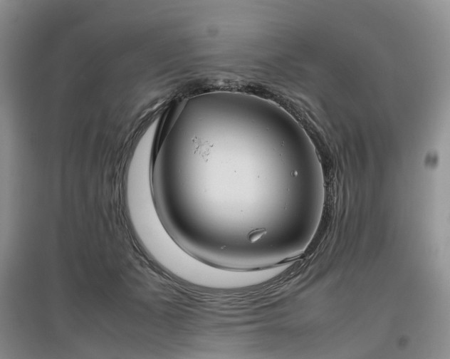 X0000097000511200802151417
