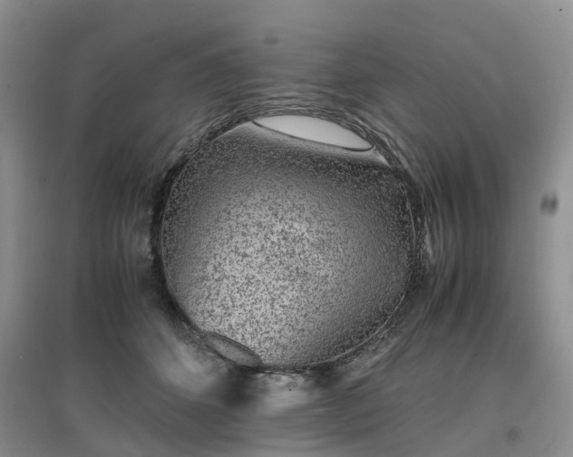 X0000097000512200802151417