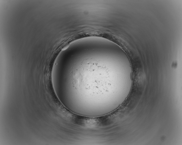 X0000097000513200802151417