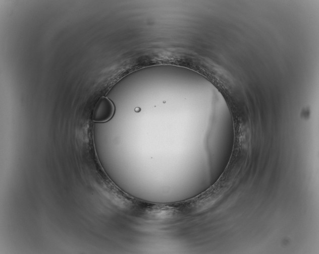 X0000097000514200802151417