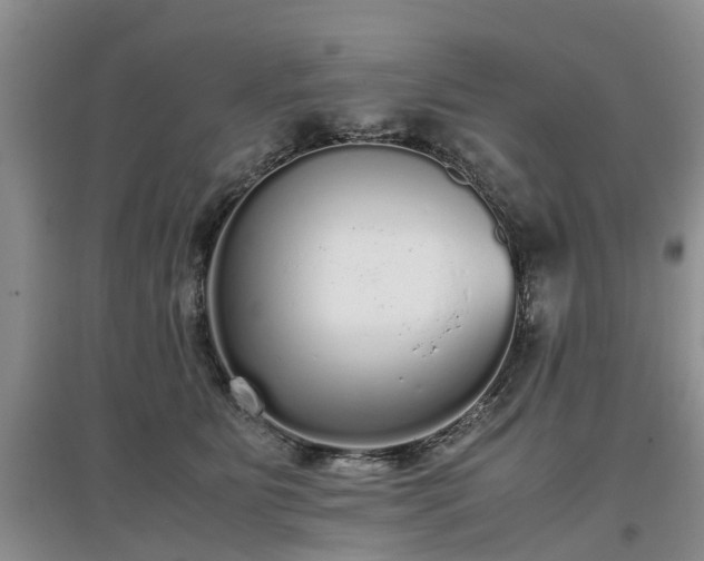 X0000097000515200802151417
