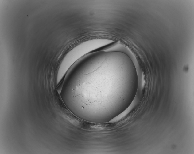 X0000097000516200802151417