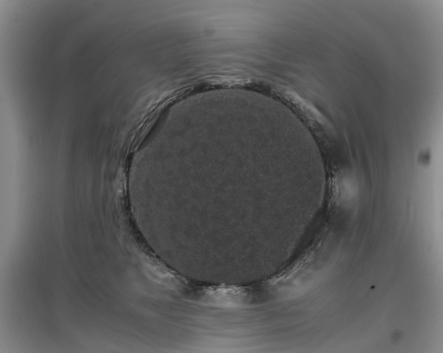 X0000097000517200802151417