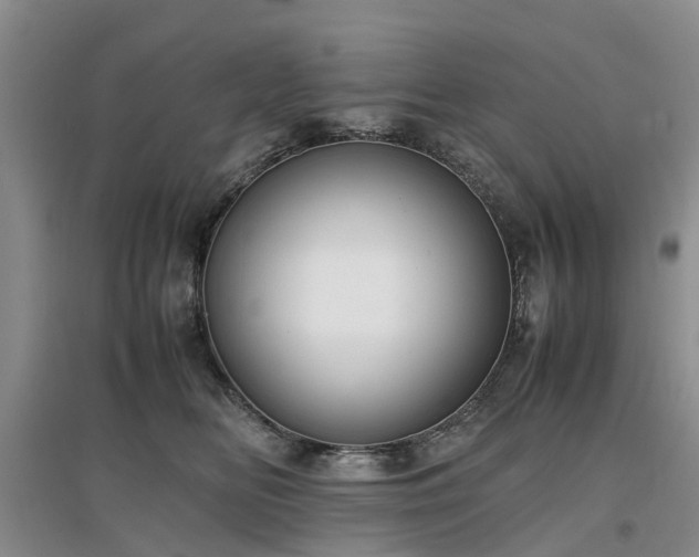 X0000097000518200802151417