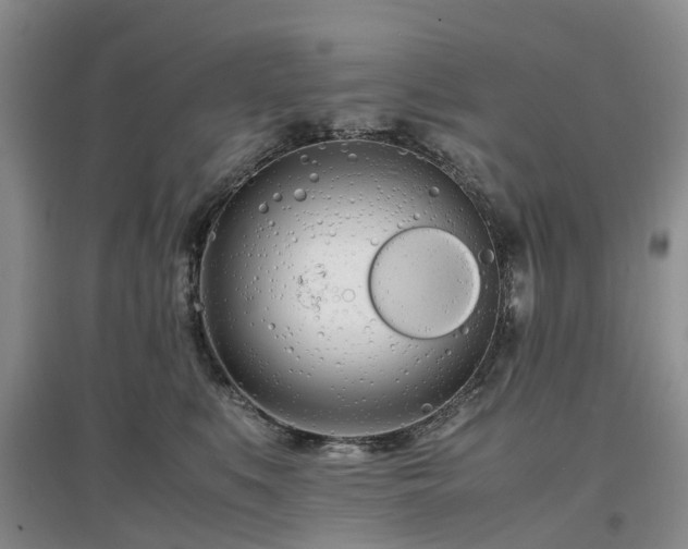 X0000097000519200802151417