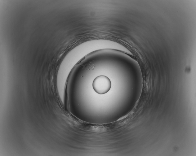 X0000097000520200802151417
