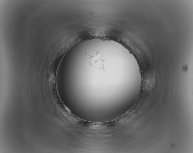 X0000097000521200802151417
