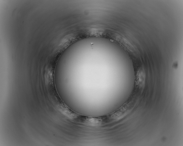 X0000097000522200802151417