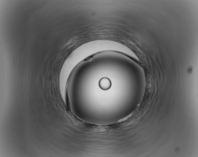 X0000097000523200802151417
