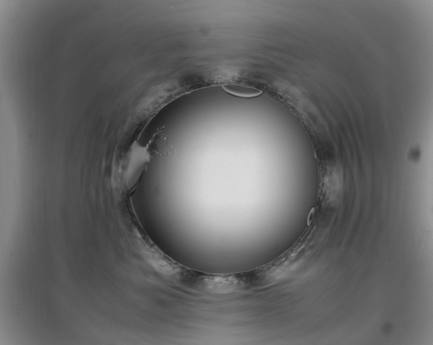 X0000097000525200802151417