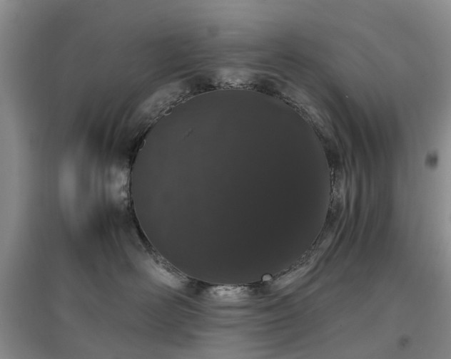 X0000097000526200802151417