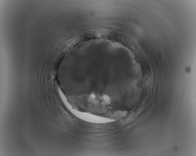 X0000097000527200802151417
