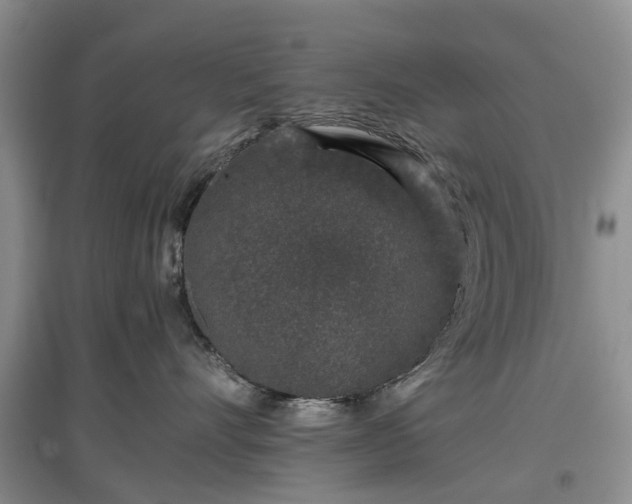X0000097000528200802151417