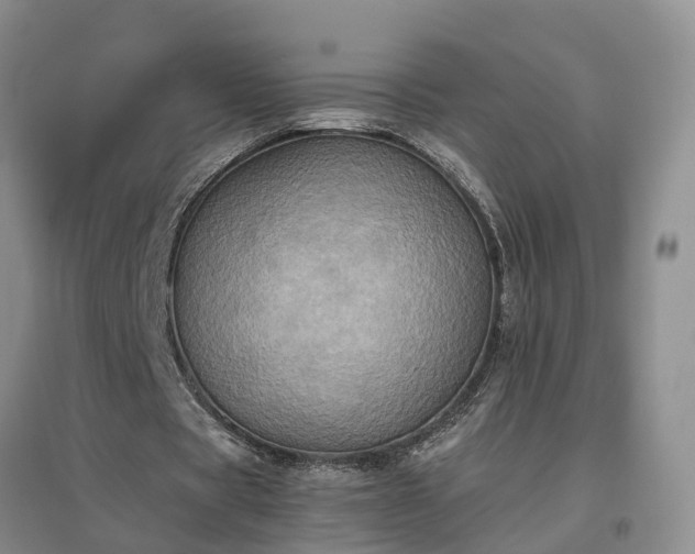 X0000097000529200802151416