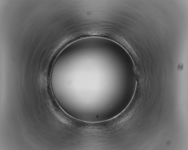 X0000097000530200802151416
