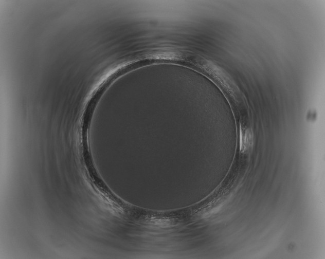 X0000097000531200802151416