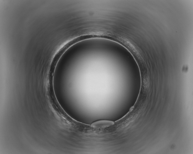 X0000097000532200802151416